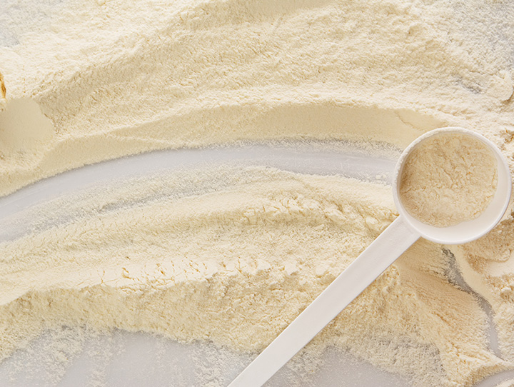 乳鐵(tiě)蛋白(bái)